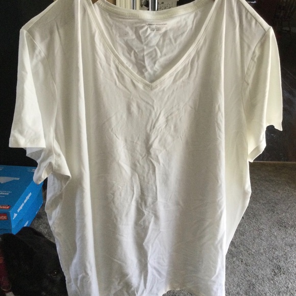 Amazon Essentials Plus Size Short-Sleeve V-Neck T-Shirt - Picture 5 of 8